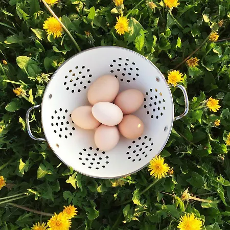 Bed & Breakfast Pacchioni Cavezzo