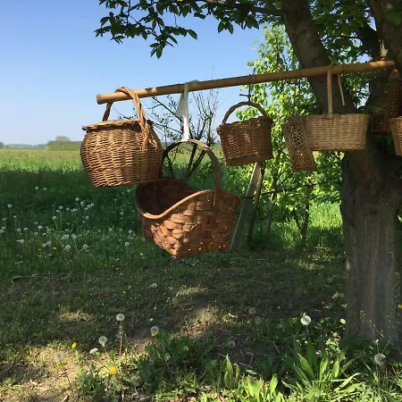 Pacchioni 3* Cavezzo