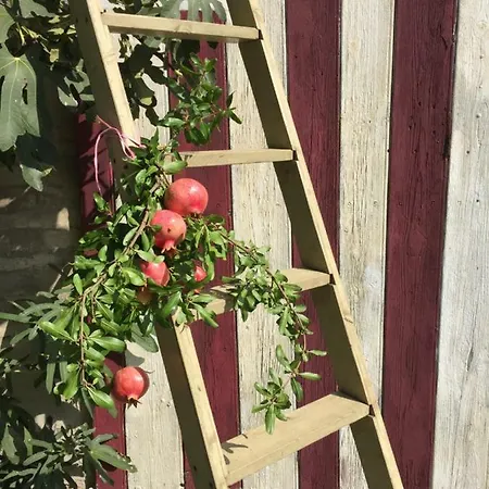 Pacchioni Bed & Breakfast Cavezzo