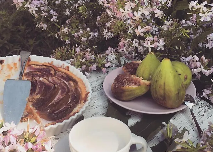 住宿加早餐酒店 Pacchioni 3*