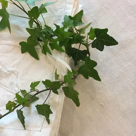 Pacchioni Frühstückspension 3*