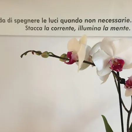 Frühstückspension Pacchioni 3*