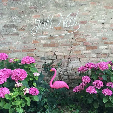 فندق مبيت وإفطار Pacchioni 3*