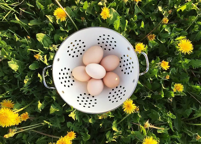 Bed & Breakfast Pacchioni Cavezzo