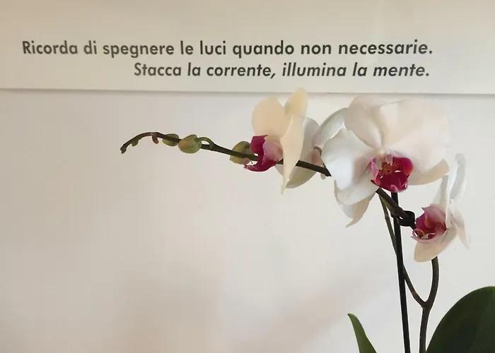 Bed & Breakfast Pacchioni 3*