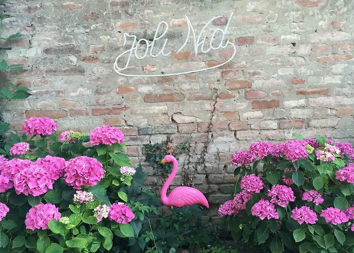 Bed & Breakfast Pacchioni 3*