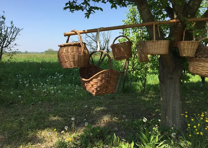 Pacchioni 3* Cavezzo