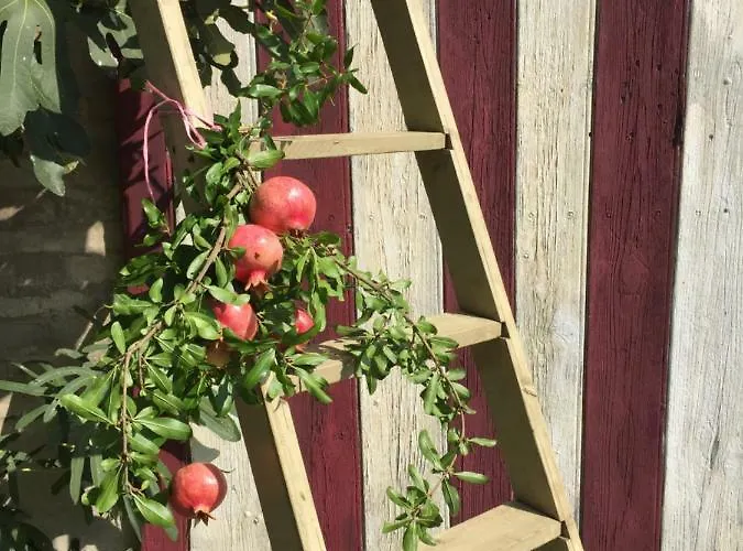 Pacchioni Bed & Breakfast Cavezzo